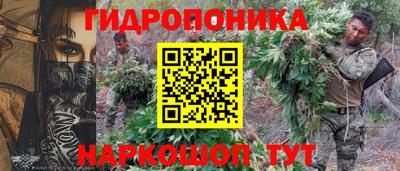 кокс Донской